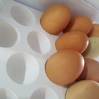 Egg Holder - Thumbnail 4