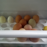 Egg Holder - Thumbnail 6