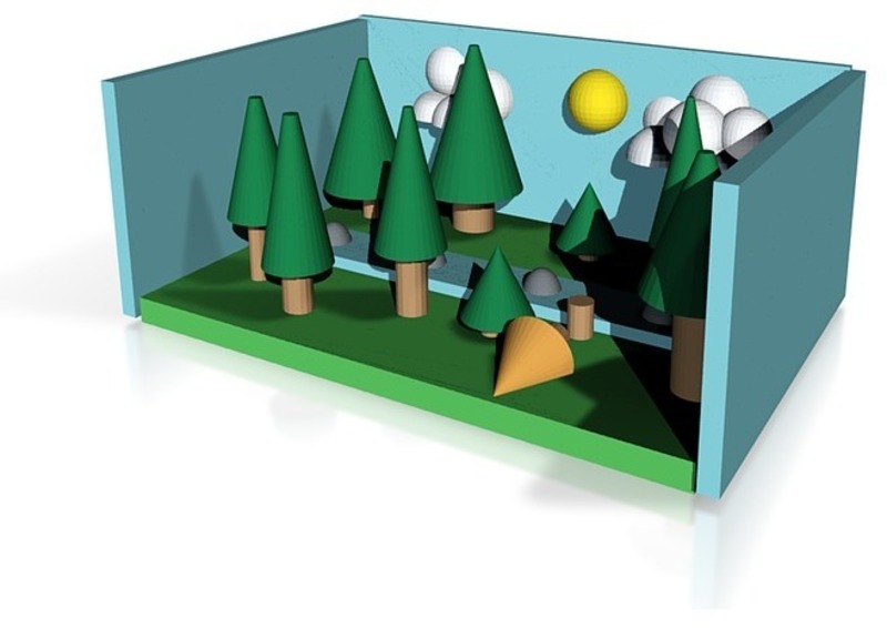 pine forest in the day