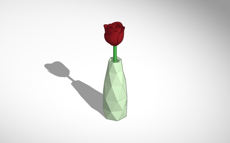 rose in a vase