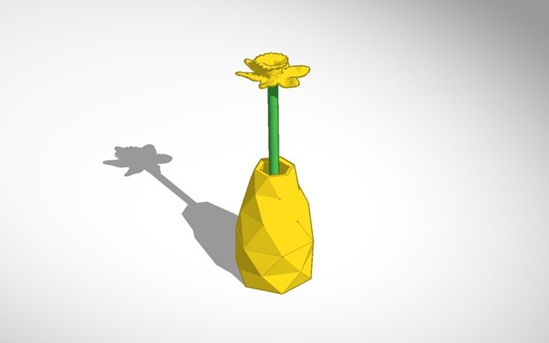 daffodil in vase