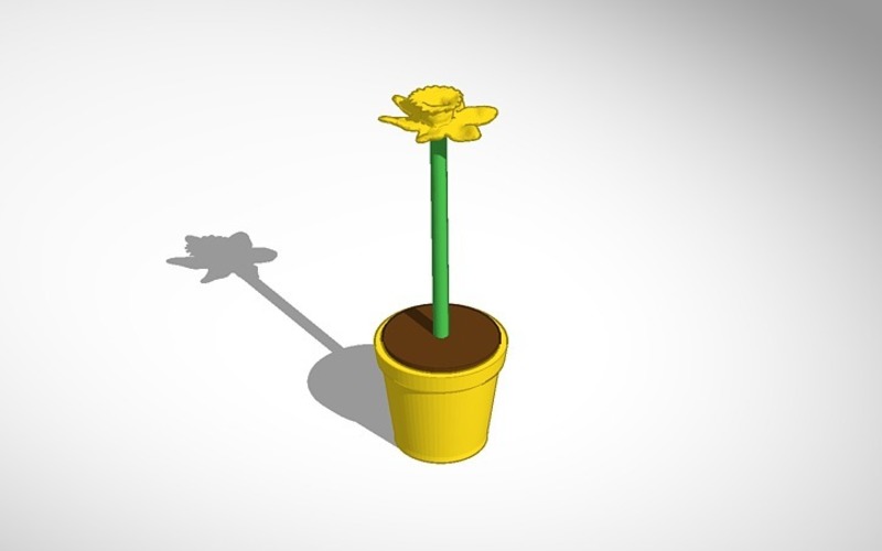 daffodil in yellow pot