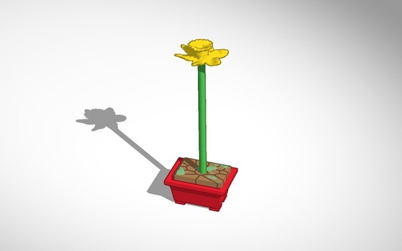 daffodil plant in pot model