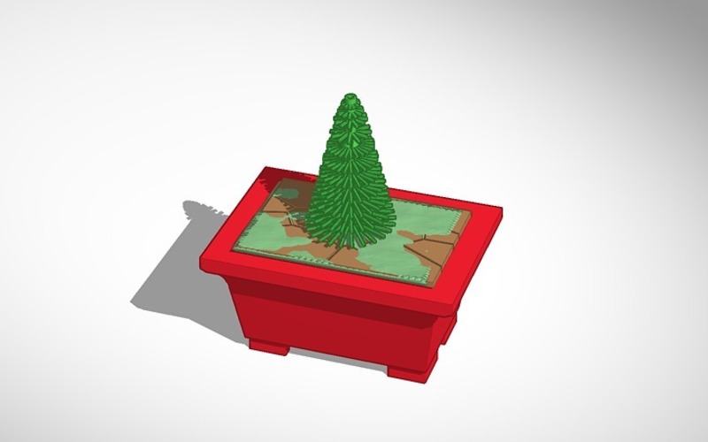 bonsai pine tree 3D Print 14368