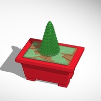 bonsai pine tree - Thumbnail 1