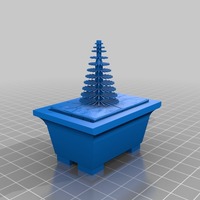 bonsai pine tree - Thumbnail 2