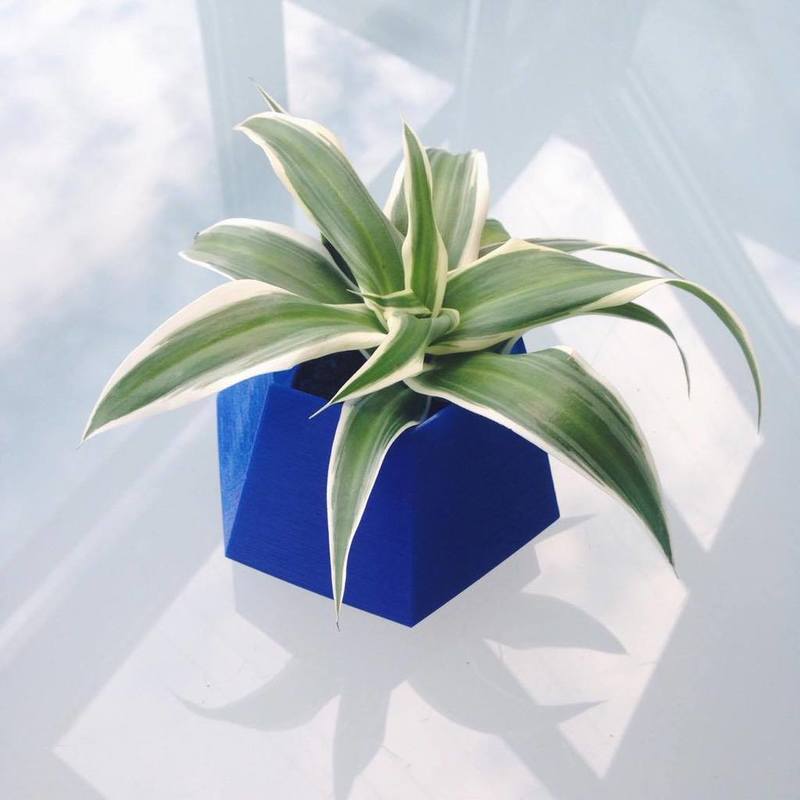 Geometric planter