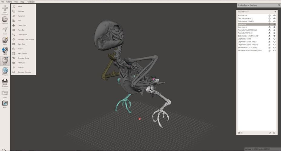Macow Skeleton 3D Print 144136