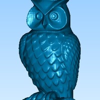 Owl - Thumbnail 1