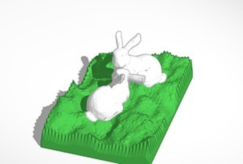two bunnies looking at each other