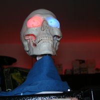 Skully Kit - Thumbnail 12