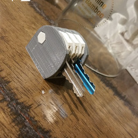 Key Carer - Thumbnail 4