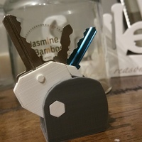 Key Carer - Thumbnail 7