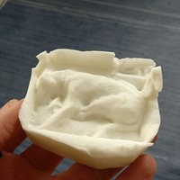 Small Scan of a dog in his bed 3D Printing 145804