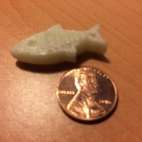 Tag Fish - Thumbnail 3