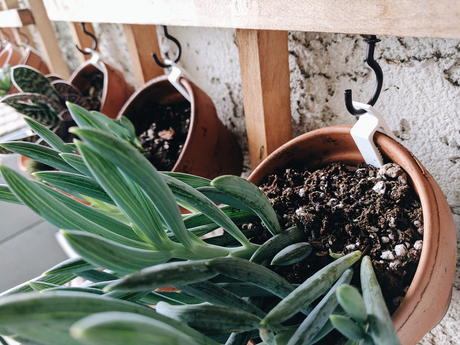 Clay Pot Plant Hanger