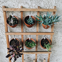 Clay Pot Plant Hanger - Thumbnail 3