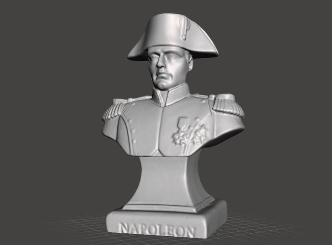 Napoleon Scan 3D Print 146347