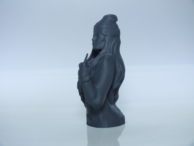 Snow Tha Product bust 3D Print 146608