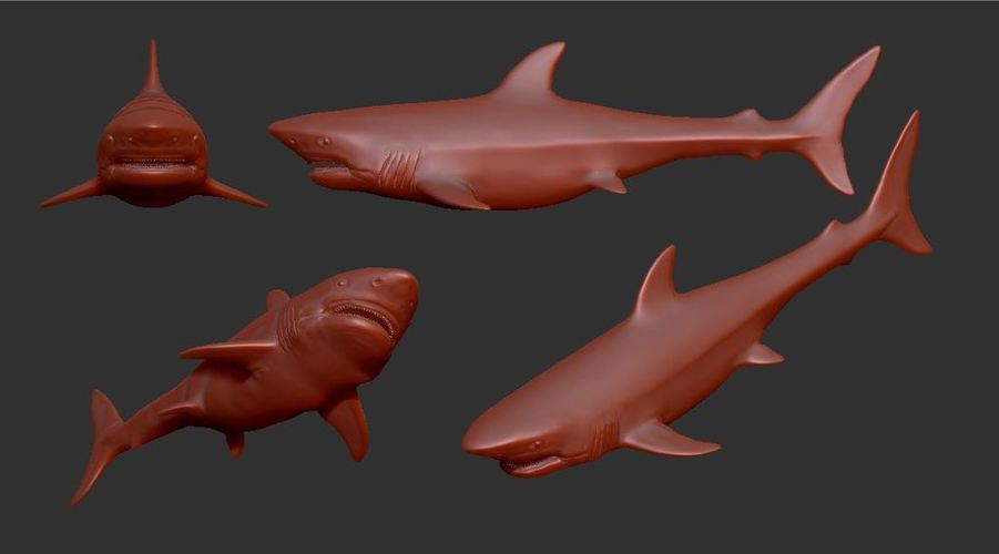 Great White Shark 3D Print 146667