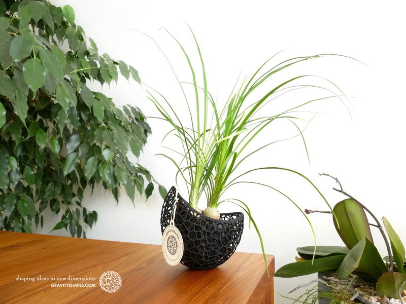 A burgeoning capsule Planter