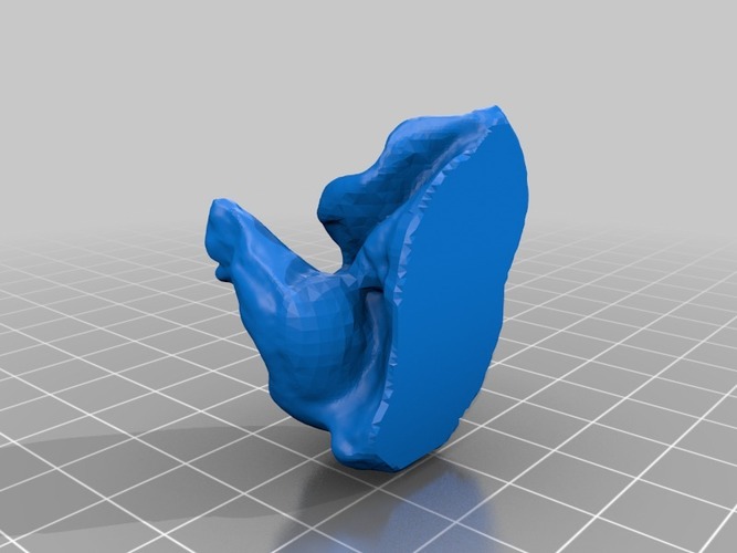 Cochlea 3D Print 14683