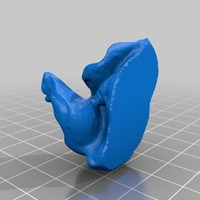 Small Cochlea 3D Printing 14683