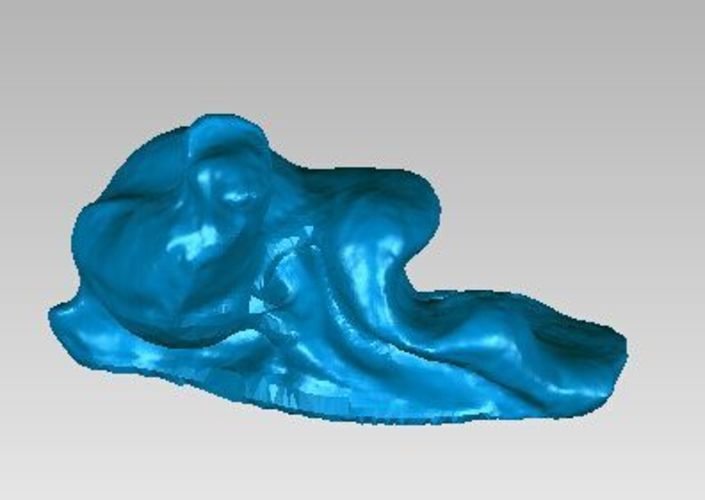 Cochlea 3D Print 14684