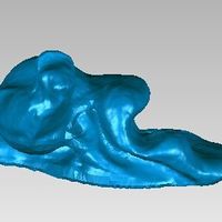 Cochlea - Thumbnail 2