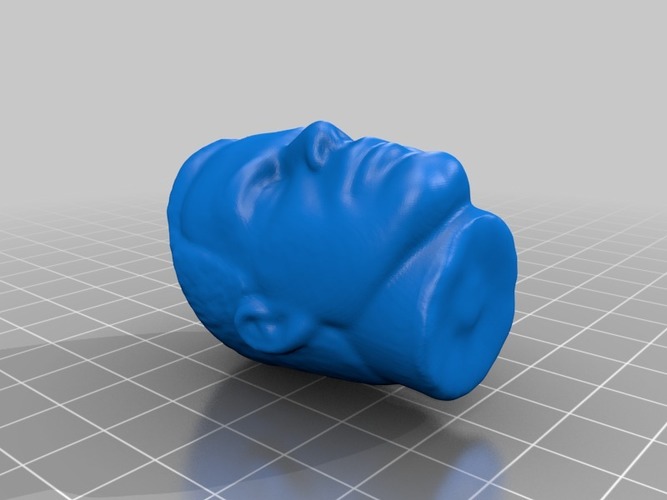 Man' Head 3D Print 14732