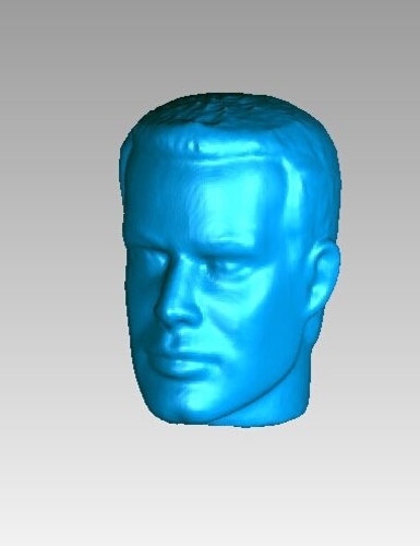 Man' Head 3D Print 14734