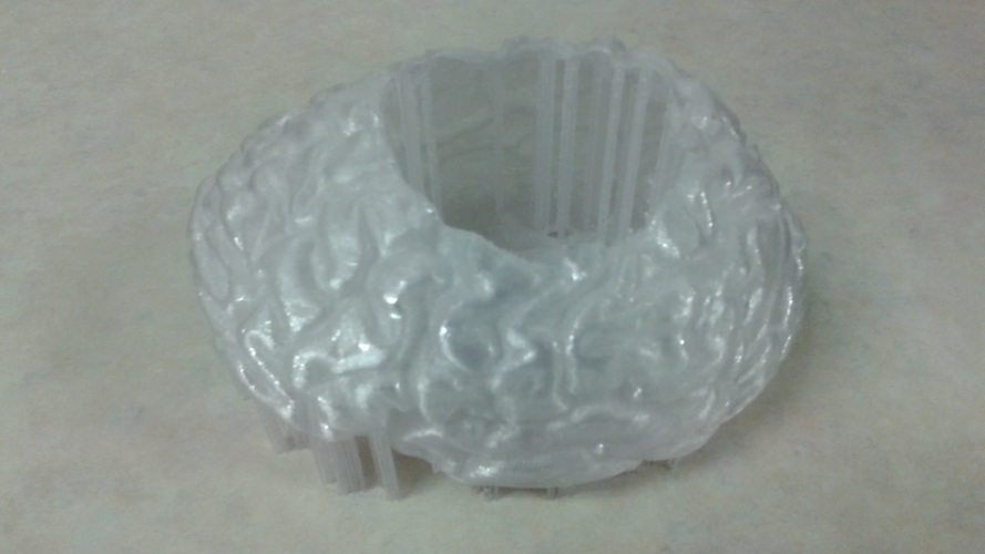 Hollow Human Brain Planter 3D Print 147796