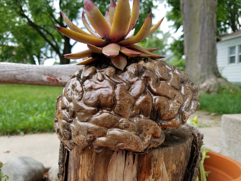 Hollow Human Brain Planter