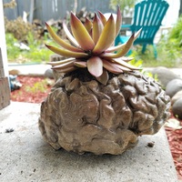 Hollow Human Brain Planter - Thumbnail 6