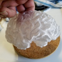 Hollow Human Brain Planter - Thumbnail 7