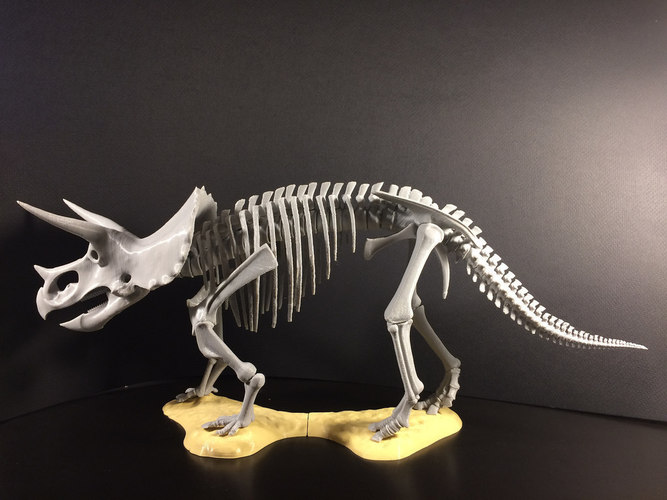 Triceratops prorsus Skeleton 3D Print 148495