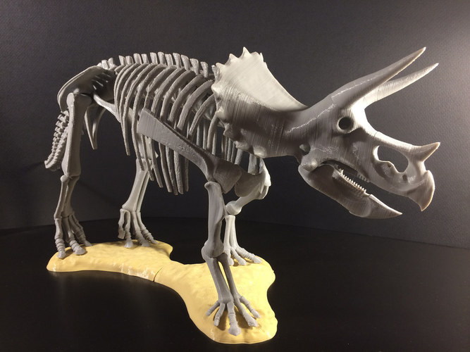 Triceratops prorsus Skeleton 3D Print 148498