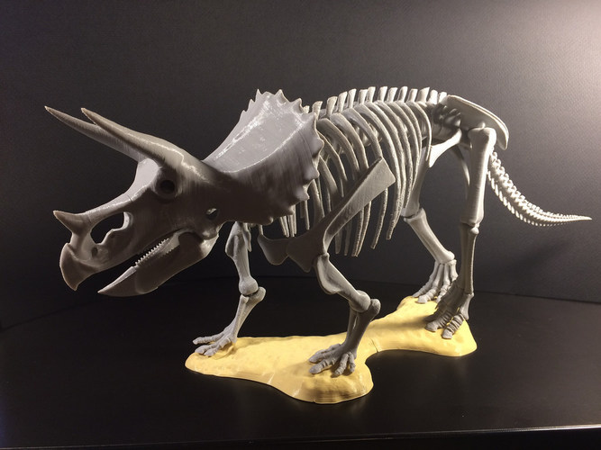 Triceratops prorsus Skeleton 3D Print 148499