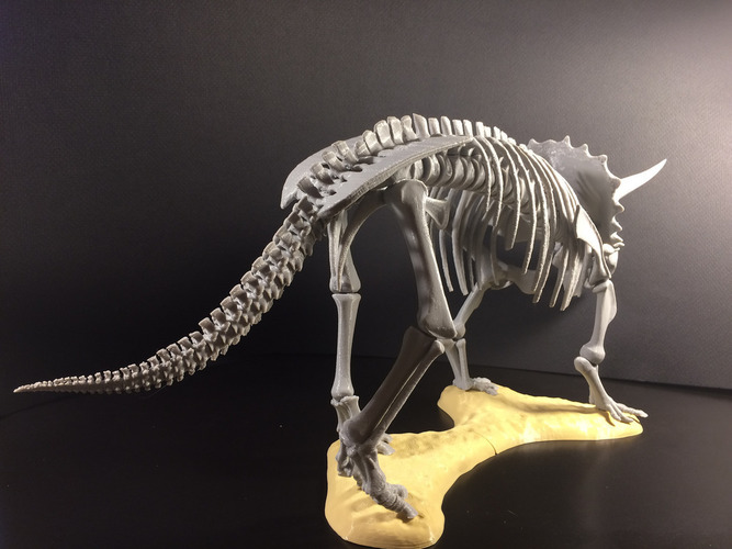 Triceratops prorsus Skeleton 3D Print 148500