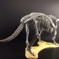 Triceratops prorsus Skeleton - Thumbnail 6