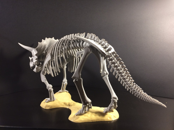 Triceratops prorsus Skeleton 3D Print 148501