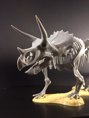 Triceratops prorsus Skeleton 3D Print 148503