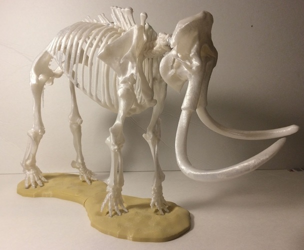 Woolly Mammoth Skeleton 3D Print 148507