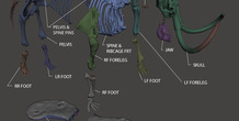 Image 148511
