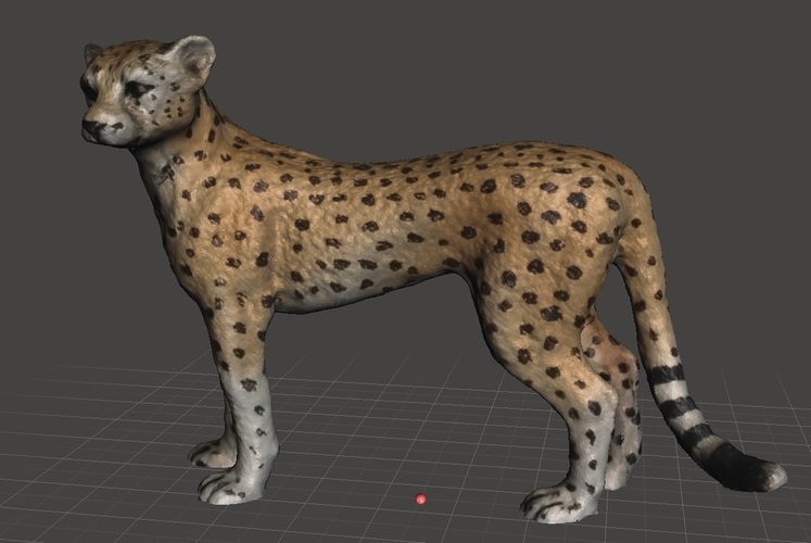Cheetah 3D Print 148521