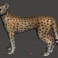 Cheetah - Thumbnail 2