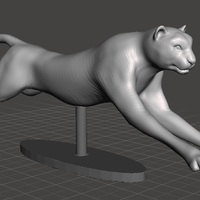 Cheetah Running - Thumbnail 2