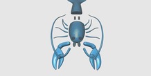 Image 148527