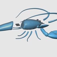Lobster - Thumbnail 4