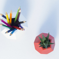 Dodecaedro planter - Thumbnail 3